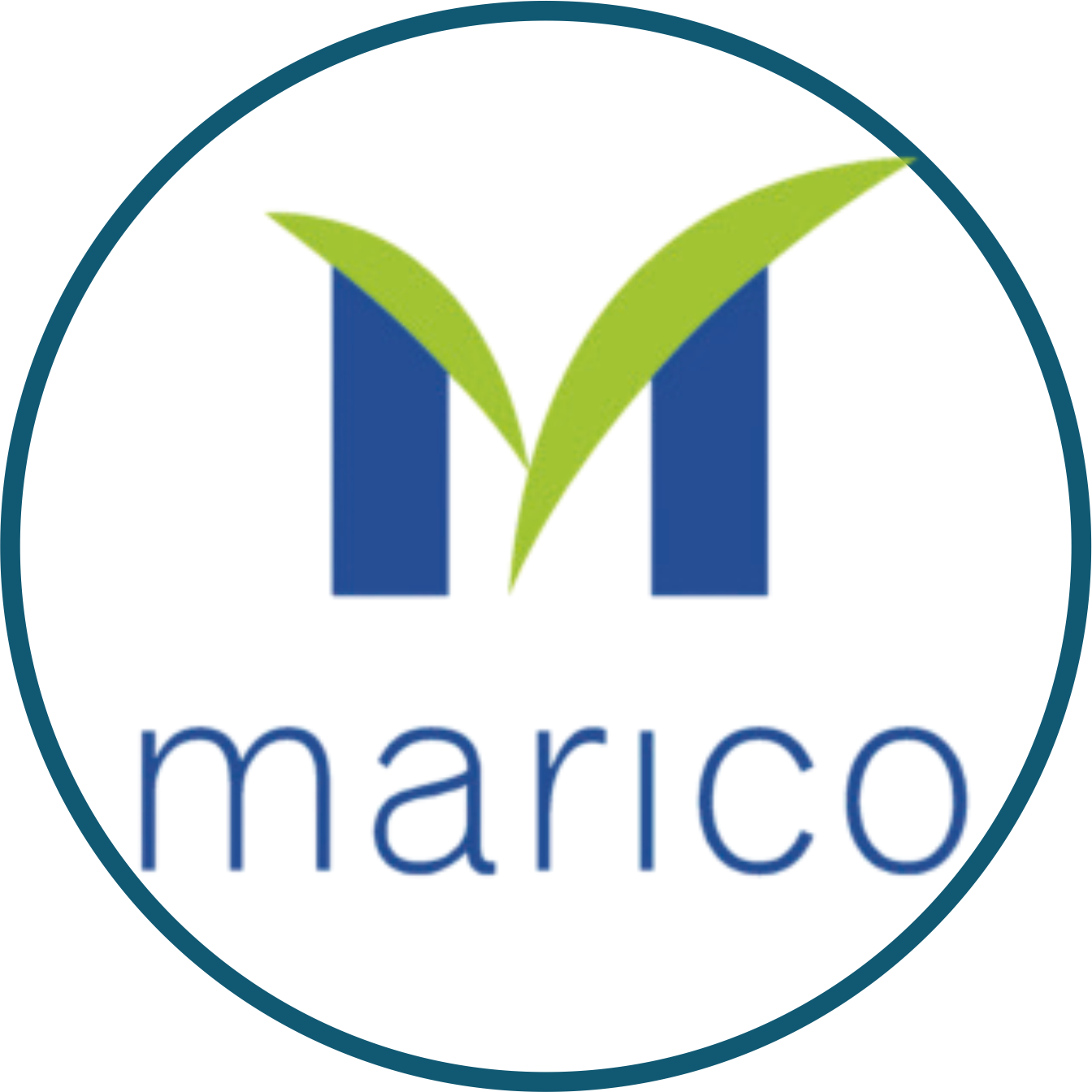 Industrial client logo 13